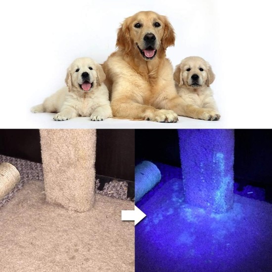 Raguso UV Black Light Torch Pet Urine Detector Light Portable Dog Cat Urine Detector for Finding Dry Stains on Pets, Carpets or Floor Beds Raguso UV Black Light Torch Pet Urine Detector Light Portable Dog Cat Urine Detector for Finding Dry Stains on Pets, Carpets or Floor Beds