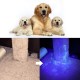 Raguso UV Black Light Torch Pet Urine Detector Light Portable Dog Cat Urine Detector for Finding Dry Stains on Pets, Carpets or Floor Beds Raguso UV Black Light Torch Pet Urine Detector Light Portable Dog Cat Urine Detector for Finding Dry Stains on Pets, Carpets or Floor Beds