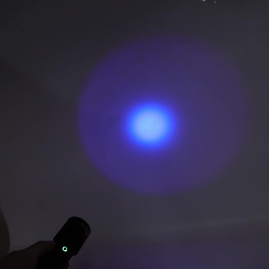 Sorandy - Blacklight Torch, 365nm Ultraviolet Blacklight Flashlite, Pet Urine Detector for Dogs, Cats, Dry Stains and Bed Bugs, Suitable with Sorandy - Blacklight Torch, 365nm Ultraviolet Blacklight Flashlite, Pet Urine Detector for Dogs, Cats, Dry Stains and Bed Bugs, Suitable with