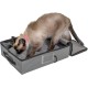 Sport Pet Large Portable Cat Litter Tray