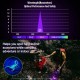 SuperFire Rechargeable LED UV Black Light Torch, Mini UV Lamp, Ultraviolet Light, 395 nm, Detector for Amber Search, Geocaching, Pet Urine Detectors, Fake Banknotes (Black) SuperFire Rechargeable LED UV Black Light Torch, Mini UV Lamp, Ultraviolet Light, 395 nm, Detector for Amber Search, Geocaching, Pet Urine Detectors, Fake Banknotes (Black)