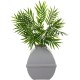 The Courtyard Hidden Cat Litter Box, Artificial Plants and Closed Square Cat Litter Box, Vented and Odour Filter, Easy to Clean, Stone Grey The Courtyard Hidden Cat Litter Box, Artificial Plants and Closed Square Cat Litter Box, Vented and Odour Filter, Easy to Clean, Stone Grey