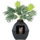 The Courtyard Hidden Cat Litter Box, Artificial Plants and Closed Square Cat Litter Box, Vented and Odour Filter, Easy to Clean, Stone Grey The Courtyard Hidden Cat Litter Box, Artificial Plants and Closed Square Cat Litter Box, Vented and Odour Filter, Easy to Clean, Stone Grey