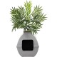 The Courtyard Hidden Cat Litter Box, Artificial Plants and Closed Square Cat Litter Box, Vented and Odour Filter, Easy to Clean, Stone Grey The Courtyard Hidden Cat Litter Box, Artificial Plants and Closed Square Cat Litter Box, Vented and Odour Filter, Easy to Clean, Stone Grey