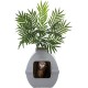 The Courtyard Hidden Cat Litter Box, Artificial Plants and Closed Square Cat Litter Box, Vented and Odour Filter, Easy to Clean, Stone Grey The Courtyard Hidden Cat Litter Box, Artificial Plants and Closed Square Cat Litter Box, Vented and Odour Filter, Easy to Clean, Stone Grey