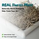 The Courtyard Hidden Cat Litter Box, Artificial Plants and Closed Square Cat Litter Box, Vented and Odour Filter, Easy to Clean, Stone Grey The Courtyard Hidden Cat Litter Box, Artificial Plants and Closed Square Cat Litter Box, Vented and Odour Filter, Easy to Clean, Stone Grey