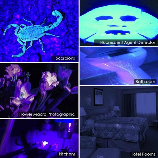 UV Black Light 51 LEDs UV Torch Mini Ultraviolet Pets Urine Detector, 395 nm UV Light Scorpion Light Torch Lamp for Fake Banknotes, Urine of Dogs, Cats and Other Pets UV Black Light 51 LEDs UV Torch Mini Ultraviolet Pets Urine Detector, 395 nm UV Light Scorpion Light Torch Lamp for Fake Banknotes, Urine of Dogs, Cats and Other Pets