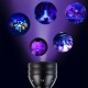 UV Black Light Torch, Pets, Urine Detector for Dried, Stains, Dogs, Cats, Pets, Hand Lamp, Detector for Fake Banknotes UV Black Light Torch, Pets, Urine Detector for Dried, Stains, Dogs, Cats, Pets, Hand Lamp, Detector for Fake Banknotes