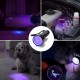 UV Black Light Torch, Pets, Urine Detector for Dried, Stains, Dogs, Cats, Pets, Hand Lamp, Detector for Fake Banknotes UV Black Light Torch, Pets, Urine Detector for Dried, Stains, Dogs, Cats, Pets, Hand Lamp, Detector for Fake Banknotes