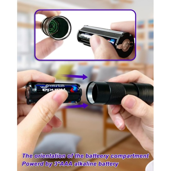 UV Blacklight Torch 12 LED 395nm Pack of 2 LED Flashlight, Mini Blacklight Flashlight, Portable UV Flashlight for Pet Urine Stains (Purple Light), Stains UV Blacklight Torch 12 LED 395nm Pack of 2 LED Flashlight, Mini Blacklight Flashlight, Portable UV Flashlight for Pet Urine Stains (Purple Light), Stains