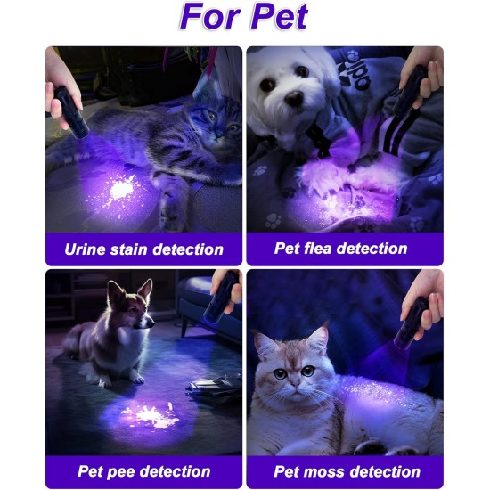 UV Blacklight Torch 12 LED 395nm Pack of 2 LED Flashlight, Mini Blacklight Flashlight, Portable UV Flashlight for Pet Urine Stains (Purple Light), Stains UV Blacklight Torch 12 LED 395nm Pack of 2 LED Flashlight, Mini Blacklight Flashlight, Portable UV Flashlight for Pet Urine Stains (Purple Light), Stains