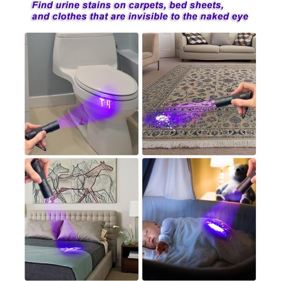 UV Blacklight Torch 12 LED 395nm Pack of 2 LED Flashlight, Mini Blacklight Flashlight, Portable UV Flashlight for Pet Urine Stains (Purple Light), Stains UV Blacklight Torch 12 LED 395nm Pack of 2 LED Flashlight, Mini Blacklight Flashlight, Portable UV Flashlight for Pet Urine Stains (Purple Light), Stains