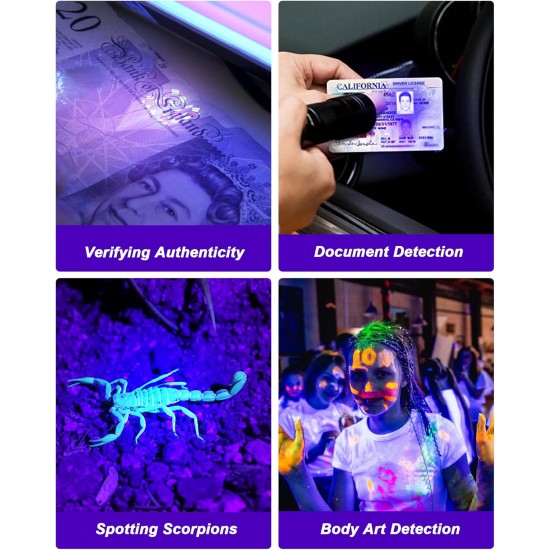 UV Blacklight Torch 12 LED 395nm Pack of 2 LED Flashlight, Mini Blacklight Flashlight, Portable UV Flashlight for Pet Urine Stains (Purple Light), Stains UV Blacklight Torch 12 LED 395nm Pack of 2 LED Flashlight, Mini Blacklight Flashlight, Portable UV Flashlight for Pet Urine Stains (Purple Light), Stains
