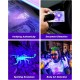 UV Blacklight Torch 12 LED 395nm Pack of 2 LED Flashlight, Mini Blacklight Flashlight, Portable UV Flashlight for Pet Urine Stains (Purple Light), Stains UV Blacklight Torch 12 LED 395nm Pack of 2 LED Flashlight, Mini Blacklight Flashlight, Portable UV Flashlight for Pet Urine Stains (Purple Light), Stains