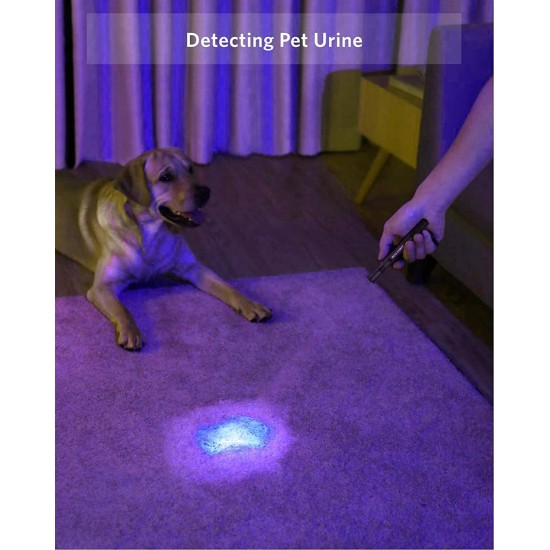 UV Torch Pack of 2 Black Light 395 nm Ultraviolet Light Lamp Zoomable Detector for Pet Urine and Bed Bugs Powered by AAA Batteries (Black Light, Pack of 2, Without Battery) UV Torch Pack of 2 Black Light 395 nm Ultraviolet Light Lamp Zoomable Detector for Pet Urine and Bed Bugs Powered by AAA Batteries (Black Light, Pack of 2, Without Battery)