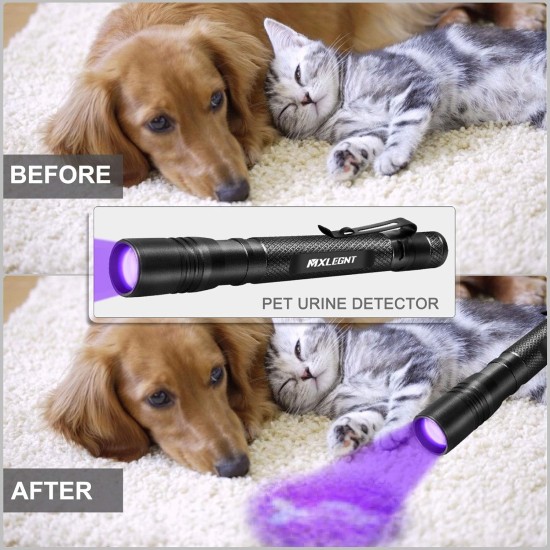 UV Torch Pack of 2 Black Light 395 nm Ultraviolet Light Lamp Zoomable Detector for Pet Urine and Bed Bugs Powered by AAA Batteries (Black Light, Pack of 2, Without Battery) UV Torch Pack of 2 Black Light 395 nm Ultraviolet Light Lamp Zoomable Detector for Pet Urine and Bed Bugs Powered by AAA Batteries (Black Light, Pack of 2, Without Battery)