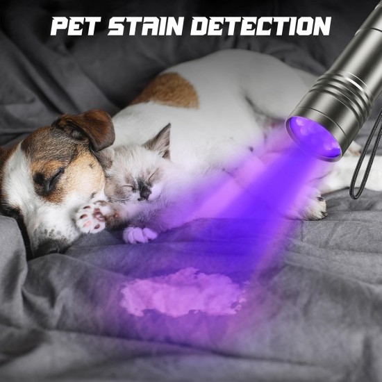 UV Torch Pack of 2 Mini UV Black Light Torch with 12 LEDs, Ultraviolet Light with 395 nm for Geocaching, Pet Urine Detectors, Pets Urine Detector etc. Includes 6 AAA Batteries UV Torch Pack of 2 Mini UV Black Light Torch with 12 LEDs, Ultraviolet Light with 395 nm for Geocaching, Pet Urine Detectors, Pets Urine Detector etc. Includes 6 AAA Batteries