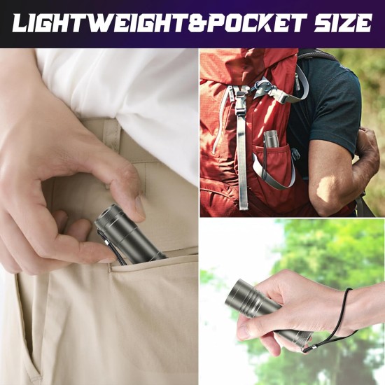 UV Torch Pack of 2 Mini UV Black Light Torch with 12 LEDs, Ultraviolet Light with 395 nm for Geocaching, Pet Urine Detectors, Pets Urine Detector etc. Includes 6 AAA Batteries UV Torch Pack of 2 Mini UV Black Light Torch with 12 LEDs, Ultraviolet Light with 395 nm for Geocaching, Pet Urine Detectors, Pets Urine Detector etc. Includes 6 AAA Batteries