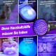 Vansky UV Lamp Black Light Lamp Black Light Ultraviolet 100 UV LED Torch 395 nm Blue Light Dry Cats Dog Pets Urine Detectors UV Light, Batteries Not Included Vansky UV Lamp Black Light Lamp Black Light Ultraviolet 100 UV LED Torch 395 nm Blue Light Dry Cats Dog Pets Urine Detectors UV Light, Batteries Not Included