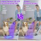 Vansky UV Lamp Black Light Lamp Ultraviolet 100 UV LED Torch 395 nm Blue Light Dry Cats Dogs Pets Urine Detectors Batteries Not Included