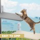2 Window Lounger for Cats, 52 x 30 cm, Cat Hammock with Sturdy Suction Cups, Cat Window Lounger, Foldable Cat Bed, Window, Windowsill, Cat Lounger, up to 20 kg, for Smooth Surfaces 2 Window Lounger for Cats, 52 x 30 cm, Cat Hammock with Sturdy Suction Cups, Cat Window Lounger, Foldable Cat Bed, Window, Windowsill, Cat Lounger, up to 20 kg, for Smooth Surfaces