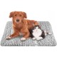 60 x 80 cm, Self-Heating Cat Blanket, Self-Warming, Washable on Both Sides, Cat Blanket without Electricity, Electric Blanket Cat for Cats and Dogs, Indoor (Grey) 60 x 80 cm, Self-Heating Cat Blanket, Self-Warming, Washable on Both Sides, Cat Blanket without Electricity, Electric Blanket Cat for Cats and Dogs, Indoor (Grey)