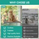 ALL FOR PAWS Katzenhängematte am Fenster für Hauskatzen – Kabellos Design, Extra große Saugnäpfe, Fenster-anliegend zusammenklappbar, Grau ALL FOR PAWS Katzenhängematte am Fenster für Hauskatzen – Kabellos Design, Extra große Saugnäpfe, Fenster-anliegend zusammenklappbar, Grau