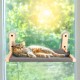 ALL FOR PAWS Katzenhängematte am Fenster für Hauskatzen – Kabellos Design, Extra große Saugnäpfe, Fenster-anliegend zusammenklappbar, Grau ALL FOR PAWS Katzenhängematte am Fenster für Hauskatzen – Kabellos Design, Extra große Saugnäpfe, Fenster-anliegend zusammenklappbar, Grau
