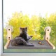 ALL FOR PAWS Katzenhängematte am Fenster für Hauskatzen – Kabellos Design, Extra große Saugnäpfe, Fenster-anliegend zusammenklappbar, Grau ALL FOR PAWS Katzenhängematte am Fenster für Hauskatzen – Kabellos Design, Extra große Saugnäpfe, Fenster-anliegend zusammenklappbar, Grau