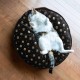AN5245, Animal Cushion 60 x 60 x 10 cm, Optimal Comfort for Your Animal, Ultra Decorative Design, Easy Transport, Quality Materials, Simplified Maintenance AN5245, Animal Cushion 60 x 60 x 10 cm, Optimal Comfort for Your Animal, Ultra Decorative Design, Easy Transport, Quality Materials, Simplified Maintenance