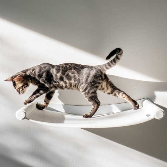 AZANO Cat Hammock XL Metal | Designer Climbing Wall Cats | Cat Bed Wall | Extra Large and Stable - (White) AZANO Cat Hammock XL Metal | Designer Climbing Wall Cats | Cat Bed Wall | Extra Large and Stable - (White)