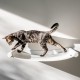 AZANO Cat Hammock XL Metal | Designer Climbing Wall Cats | Cat Bed Wall | Extra Large and Stable - (White) AZANO Cat Hammock XL Metal | Designer Climbing Wall Cats | Cat Bed Wall | Extra Large and Stable - (White)