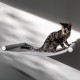 AZANO Cat Hammock XL Metal | Designer Climbing Wall Cats | Cat Bed Wall | Extra Large and Stable - (White) AZANO Cat Hammock XL Metal | Designer Climbing Wall Cats | Cat Bed Wall | Extra Large and Stable - (White)