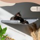 AZANO Cat Hammock XL Metal | Designer Climbing Wall Cats | Cat Bed Wall | Extra Large and Stable - (White) AZANO Cat Hammock XL Metal | Designer Climbing Wall Cats | Cat Bed Wall | Extra Large and Stable - (White)