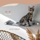 AZANO Cat Hammock XL Metal | Designer Climbing Wall Cats | Cat Bed Wall | Extra Large and Stable - (White) AZANO Cat Hammock XL Metal | Designer Climbing Wall Cats | Cat Bed Wall | Extra Large and Stable - (White)