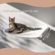 AZANO Cat Hammock XL Metal | Designer Climbing Wall Cats | Cat Bed Wall | Extra Large and Stable - (White) AZANO Cat Hammock XL Metal | Designer Climbing Wall Cats | Cat Bed Wall | Extra Large and Stable - (White)