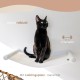 AZANO Cat Hammock XL Metal | Designer Climbing Wall Cats | Cat Bed Wall | Extra Large and Stable - (White) AZANO Cat Hammock XL Metal | Designer Climbing Wall Cats | Cat Bed Wall | Extra Large and Stable - (White)