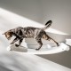 AZANO Cat Hammock XL Metal | Designer Climbing Wall Cats | Cat Bed Wall | Extra Large and Stable - (White) AZANO Cat Hammock XL Metal | Designer Climbing Wall Cats | Cat Bed Wall | Extra Large and Stable - (White)