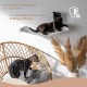 AZANO Cat Hammock XL Metal | Designer Climbing Wall Cats | Cat Bed Wall | Extra Large and Stable - (White) AZANO Cat Hammock XL Metal | Designer Climbing Wall Cats | Cat Bed Wall | Extra Large and Stable - (White)