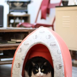 Aime Teepee Foam Cat Bed Comfortable Soft Colorful Coral Red Removable Cushion Small Aime Teepee Foam Cat Bed Comfortable Soft Colorful Coral Red Removable Cushion Small