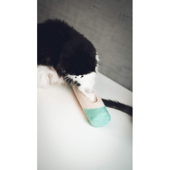 Aime XXL Cat Scratching Post Tube Mint + 3 Balls 29 cm Pack of 1 Aime XXL Cat Scratching Post Tube Mint + 3 Balls 29 cm Pack of 1