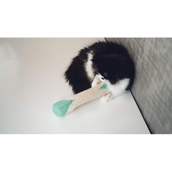 Aime XXL Cat Scratching Post Tube Mint + 3 Balls 29 cm Pack of 1 Aime XXL Cat Scratching Post Tube Mint + 3 Balls 29 cm Pack of 1