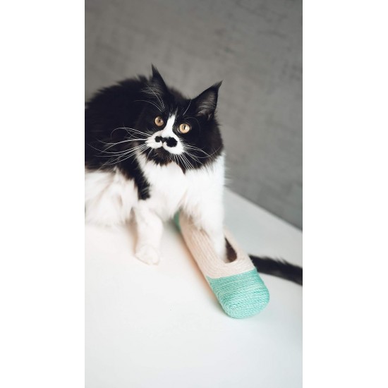 Aime XXL Cat Scratching Post Tube Mint + 3 Balls 29 cm Pack of 1 Aime XXL Cat Scratching Post Tube Mint + 3 Balls 29 cm Pack of 1