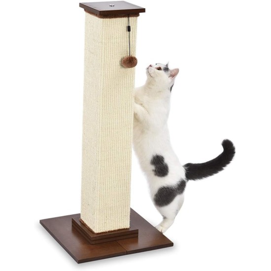 Amazon Basics Medium Cat Scratching Post, 40.01 x 40.01 x 80.01 cm, Grey Amazon Basics Medium Cat Scratching Post, 40.01 x 40.01 x 80.01 cm, Grey