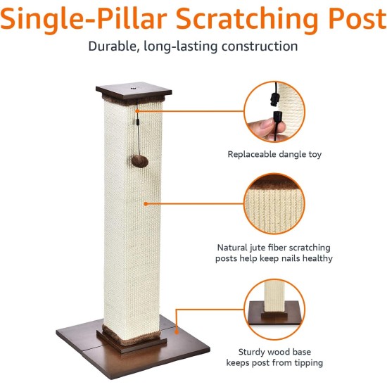 Amazon Basics Medium Cat Scratching Post, 40.01 x 40.01 x 80.01 cm, Grey Amazon Basics Medium Cat Scratching Post, 40.01 x 40.01 x 80.01 cm, Grey