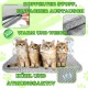 BECISPER - Cat Hammock for Window, Cat Hammock for Wall, Cat Bed for Window, Cat Hammock with Suction Cup, Cat Hammock Without Cable, with Toy Included BECISPER - Cat Hammock for Window, Cat Hammock for Wall, Cat Bed for Window, Cat Hammock with Suction Cup, Cat Hammock Without Cable, with Toy Included