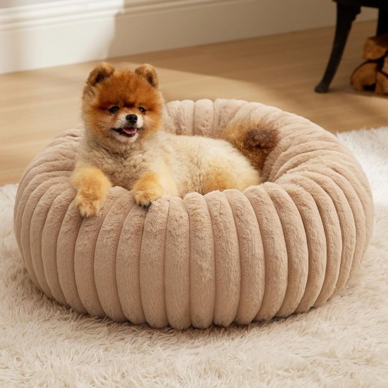 BEDSURE Cat Beds for House Cats, Camel, 51 x 51 x 15 cm BEDSURE Cat Beds for House Cats, Camel, 51 x 51 x 15 cm