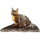 BETTER WITH FRIENDS 100 x 70 cm Dog Cat Blanket Bed Sheet Sofa Cover Rug Soft Furry Warm BETTER WITH FRIENDS 100 x 70 cm Dog Cat Blanket Bed Sheet Sofa Cover Rug Soft Furry Warm
