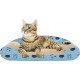 BPS Kratzbrett für Katzen Scraper Cats Karton Papier enthalten Katzenminze Grass 2 Modelle Wählen Sie 50 x 22,5 x 13,5 cm (Sofa-Form) BPS-10057