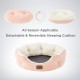 Bedsure Washable Cat Bed - 51 x 48 x 15 cm, Cat Bed Grey with Double-Sided Inner Cushion, Cat Sleeping Seat for Cats or Small Dogs Bedsure Washable Cat Bed - 51 x 48 x 15 cm, Cat Bed Grey with Double-Sided Inner Cushion, Cat Sleeping Seat for Cats or Small Dogs